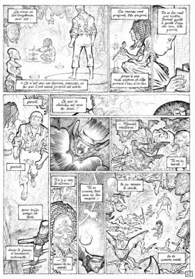 Maïonara, Bruno - 1 Original page - "D" - 2013 | Catawiki