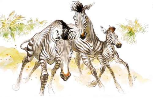 Lot #67 | Frank (Frank Pé, 1956-). | BDEnchères