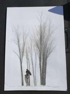 Durieux, Christian - Dessin original  - Geisha - (2017) | Catawiki