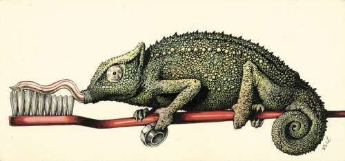 Jean Solé Né En 1948 - Animaleries - Tome 1