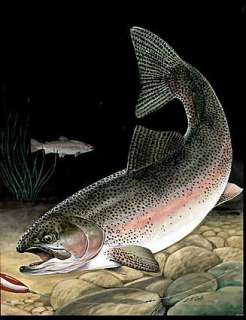 L.B. COLE ROD & GUN PAINTING Cover | ComicConnect