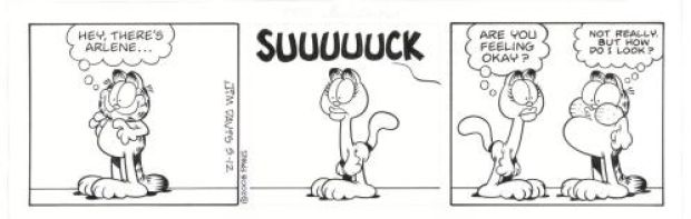 Jim Davis | Garfield, Daily Comic Strip, 05-12-2008 | Galerie 9ème Art