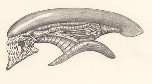 John Bolton | Alien - Prelim for the A v.P book plate. Pencil on paper. Art measures 35 x2 5cm | John Bolton