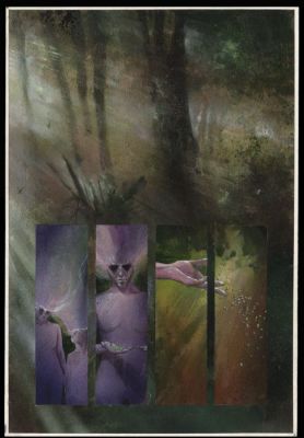 Dave McKean, Neil Gaiman - 1 Original page - Black Orchid | Catawiki