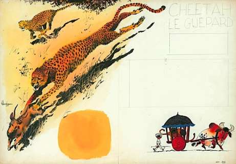 Hausman - Cheetah le guépard