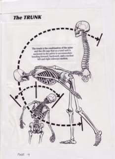 "The Trunk" from Will Eisner’s Expressive Anatomy (2004-2007*) page 9 LOT | Denis Kitchen Art Agency