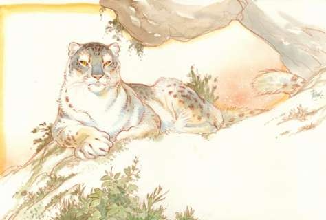 Frank Pé. Illustration originale léopard | BDEnchères