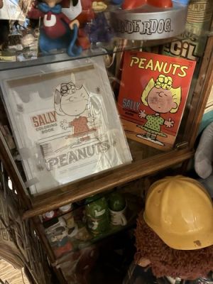 Peanuts Sally Original Art With File Copy | eBay US