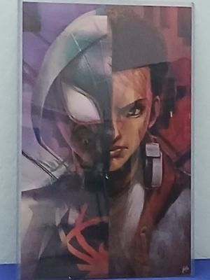 Spider-Verse Holographic Art Hand Signed Miles Morales Spider-Gwen | eBay US (Buy It Now)