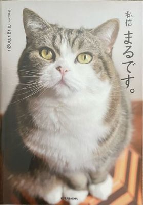 [1H5A] Ho molti messaggi privati. Immagini e frasi mugumogu | eBay Europe (Buy It Now)