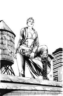Mike Krome | "Robyn Hood: I love NY #11" Cover | Mike Krome