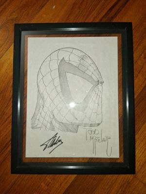 Todd McFarlane Original Art Spider-Man Sketch Vintage 9×12 Framed!