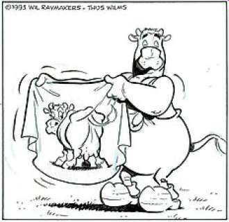 Wil Raymakers & Thijs Wilms | Boes - Originele strook uit Boes Integraal 12 - Formaat: 43 x 15 cm. | Catawiki