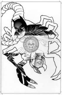 J.H. Williams III - Batman Inc. - Issue #3 - COVER