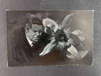 Karel Thole | Karel Thole - 1x originale di copertina - Nero Wolfe: Nella Serra del Crimine - Page volante - Exemplaire unique - (1968) | Catawiki