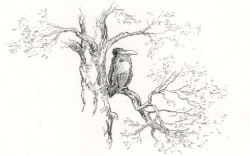 Dulieu, Jean | Dulieu, Jean - Originele tekening - Paulus en het beest van Ploemanàc - (1982) | Catawiki