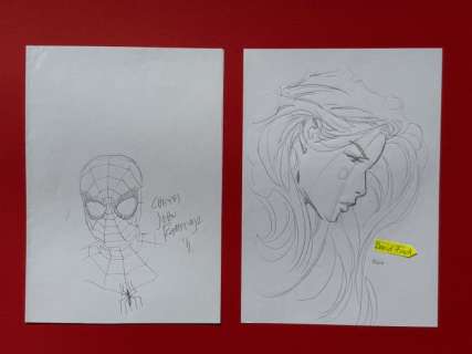 John Romita Jr. - David Finch - 2 Original drawing - Spiderman - Marvel Girl Jean Grey (DC / Marvel) | Catawiki
