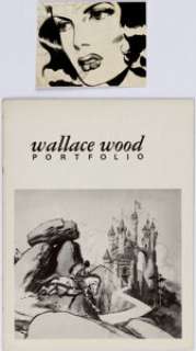Wally Wood Original Art Panel and Portfolio (Wallace Wood, c. 1970s). It’s not clear where this beautiful - | Heritage