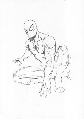 Marko Djurdjevic | Marvel Licensing Art Spider-Man Crouching Page Marvel Licensing Art | Splash Page