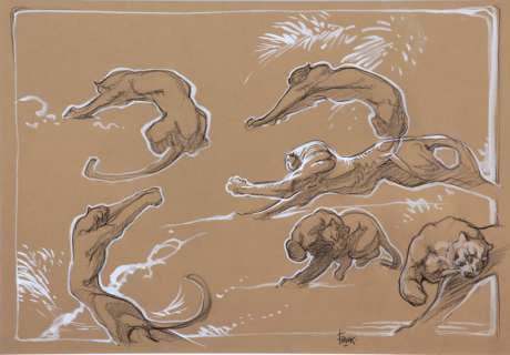 Frank Pé | Zoo, illustration de grand format réalisée aux c… | Banque Dessinée