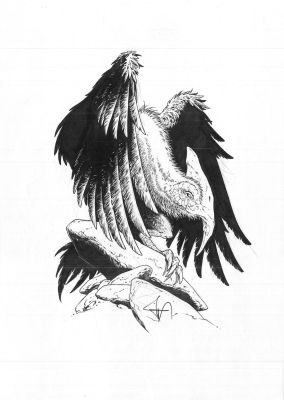 Pellet Philippe | Illustration 30 à l’encre de Chine pour le Codex de Sheïd | Galerie Napoléon