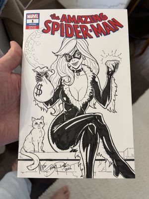 **Friday Night Flash Sale - Black Cat on The Amazing Spider-Man #1 Black Cat Sketch Cover Signed | Raremarq (Buy It Now)