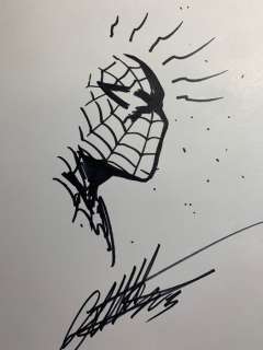 Gabriele Dell’otto | Amazing Spider-Man - Gabriele Dell’Otto Sketch - Page volante (2023) | Catawiki