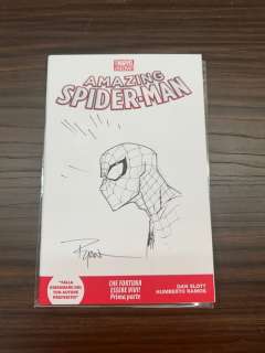 Ryan Ottley - 1 Original drawing - Amazing Spider-Man - Blank Cover Sketch - 2019 | Catawiki