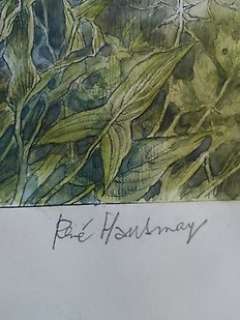 René Hausman - Original plate (p.28)  - Chlorophyll