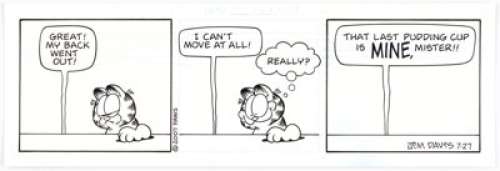 Jim Davis Garfield Daily Comic Strip Original Art dated 7-27-07 (PAWS, 2007).... | Heritage