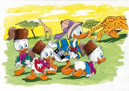 VERGANI - GM: Il Safari Fotografico | Little Nemo