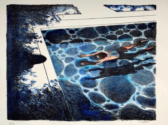 Grégory Mardon – Piscine | FieldArts