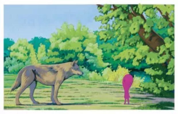 Morgane de Cadier | Premier jour | La Galerie de la Bande Dessinée
