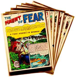 Graham "Ghastly" Ingels | Ingels - "A TREE GROWS IN BORNEO!", CRIME SuspenStories
 #9 (Feb-Mar 1952) NO RESERVE! | Russ Cochran