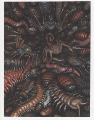 Den Beauvais | Icky Bugs Guardians Tcg Fantasy Card Game | TDArt