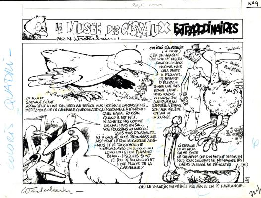 Wasterlain | Le musée des oiseaux extraordinaires planche 4 | Galerie OPA