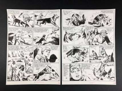 Rin Tin Tin e Rusty n° 17 - Carlo R. Marcello - 2x tavole originali - Page volante | Catawiki