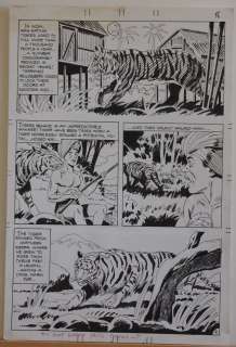 unSigned, BENGAL TIGER, 11x16, Published, lots more art in store