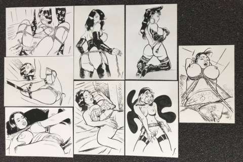 Salamanderlovers - 8 Originele, erotische tekeningen - Formaat (8x): 21 x 31 cm. | Catawiki