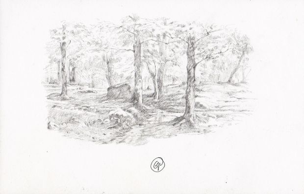 Gipi | Bosco | Tavole Originali