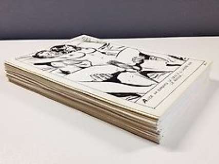 Danilo Grossi (Maxwel) - La Professionista n.20 "L‘Onorevole Mignotta" - (104x pagine) Storia Completa Originale Fumetto Erotico - Danilo Grossi (Maxwel) Edifumetto - Page volante - (1984)