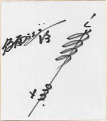 Hiroshi Miyauchi Hand-Drawn Shikishi "Kamen Rider V3" | Mandarake (Big Web)