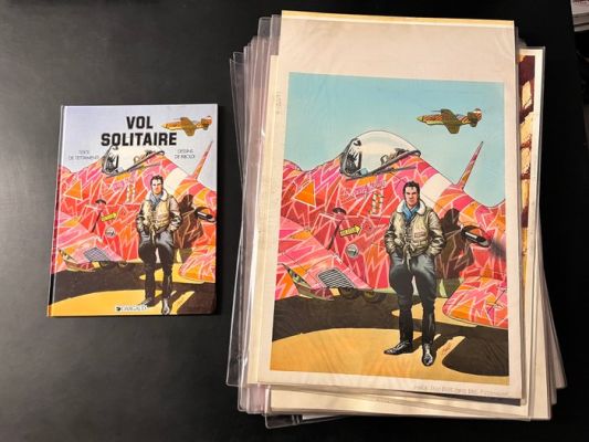 Riboldi, Enea - 44 planches originales + couverture + contre-couverture - Vol solitaire - volume completo (2x storie) - 1987 | Catawiki