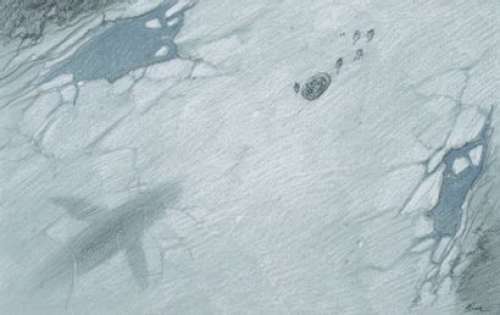 Enki Bilal (Né En 19... | Animal’z 79C Crayon gras et rehauts de pastel sur... | Tessier Sarrou