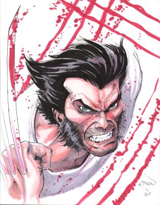 Ethan Van Sciver | Wolverine Claws Out Portrait Color Art - Signed - 2015 | Anthony’s Comic Book Art