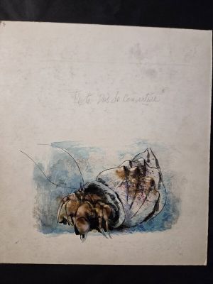 Hausman | Dos de couverture les resquilleurs | 2DGalleries