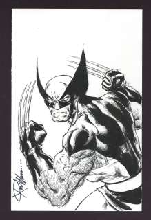 Wolverine Sketch by Ron Williams | mycomicshop.com