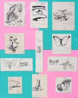 Pinchon | Ensemble de onze illustrations Ã  l’encre de C… | Millon