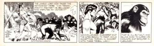 John Celardo Tarzan Daily Comic Strip Original Art dated 2-15-55 (United Feature Syndicate, 1955). Tarzan confronts -