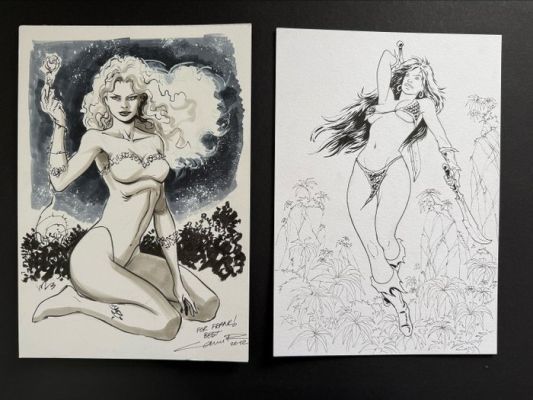 Ildiray Cinar - Bojan Vukic - 2 Original drawing - Poison Ivy - Kämpferin aus der Serie Elfen | Catawiki